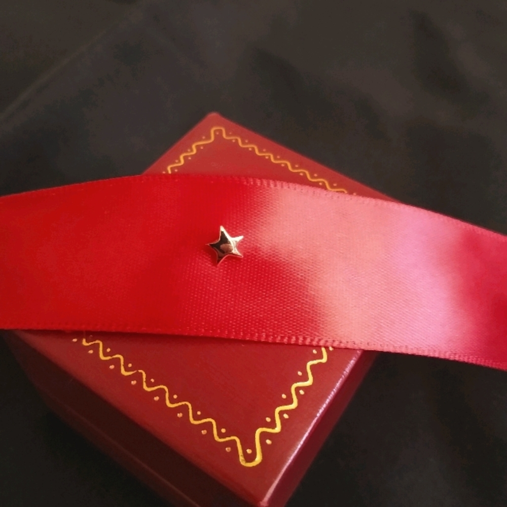 Star Stud 14K Rose Gold (Genuine Gold)